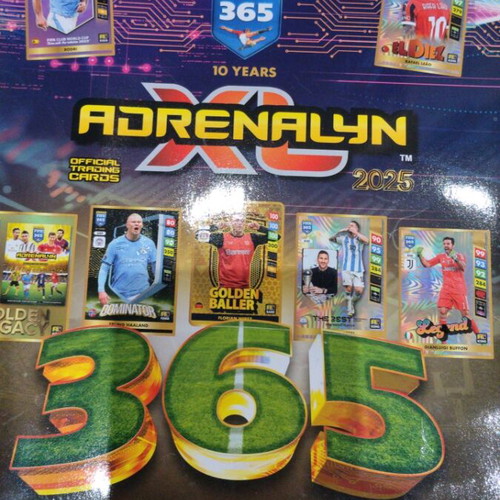 Official guide 2024 new