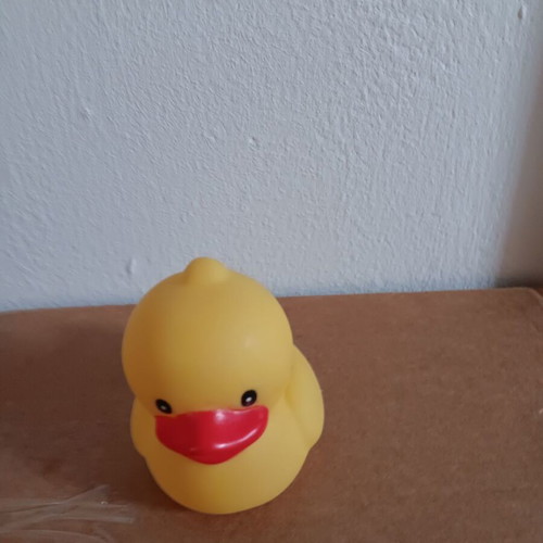 Bath duck small used