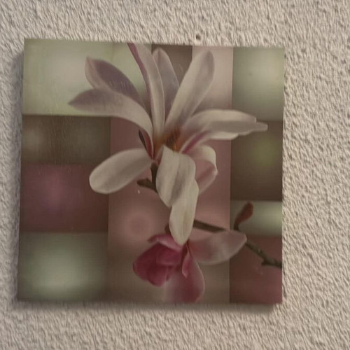 Καδράκι flower print σαν καινούργιο, άνθη μανόλιας σε γεωμετρικό φόντο