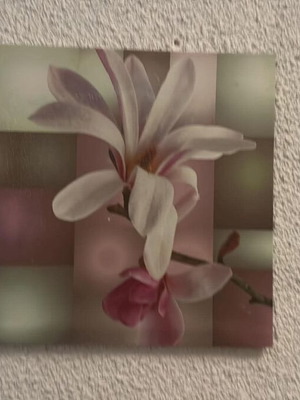 Καδράκι flower print σαν καινούργιο, άνθη μανόλιας σε γεωμετρικό φόντο