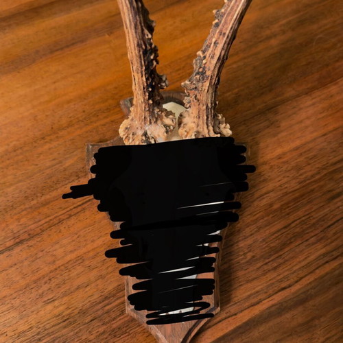 Small deer antlers used in wooden frame