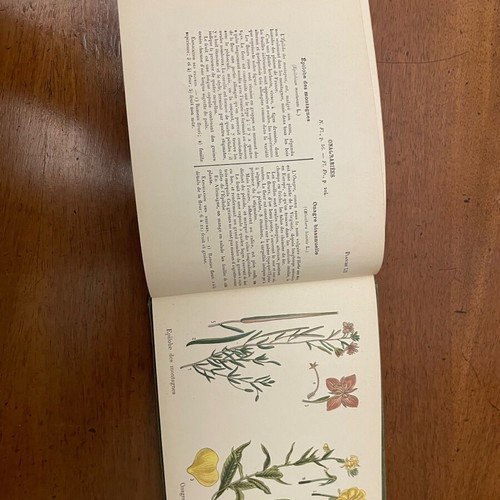 A.Masclef “Les Plantes d’Europe” βιβλίο φυτολογίας σαν καινούργιο, γαλλικά