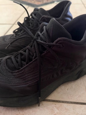 Nike Giannis Immortality shoes used, size 45, black sports