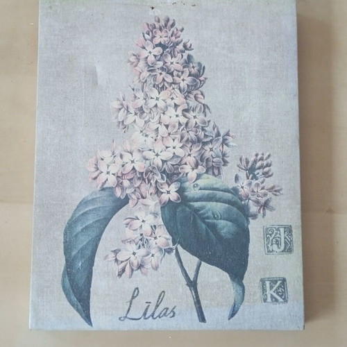 Decorative wooden frame French Lilac Flower Botanical used