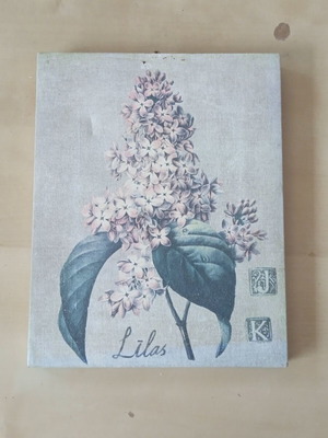 Декоративна дървена рамка French Lilac Flower Botanical употребявана