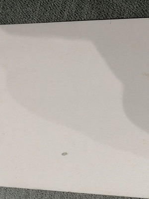 Parios signed photograph used