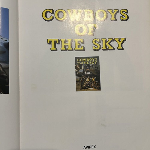 Book Cowboys of the sky like new, English