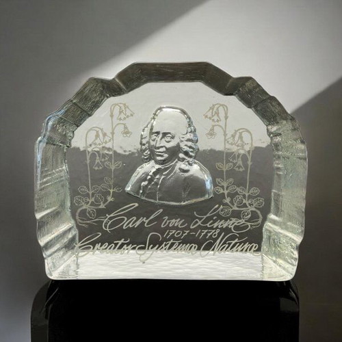 Винтидж преспапие от кристално стъкло Carl von Linné ново