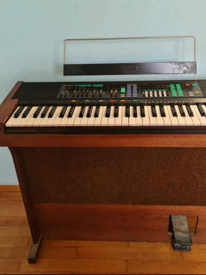 Yamaha harmonium used
