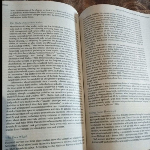 Sociology of Marriage & the Family book like new, English