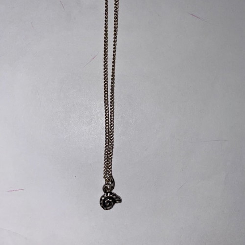 Silver necklace with shell used