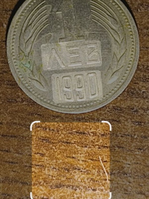 Coin 1 Lev Bulgaria 1990 like new, 2 pieces