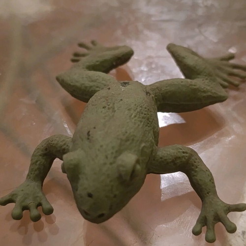 Flexible Plastic Frog Toy used, green color