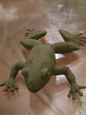 Flexible Plastic Frog Toy used, green color