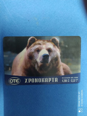 Χρονοκάρτα Αρκούδα μεταχειρισμένη 06/2001