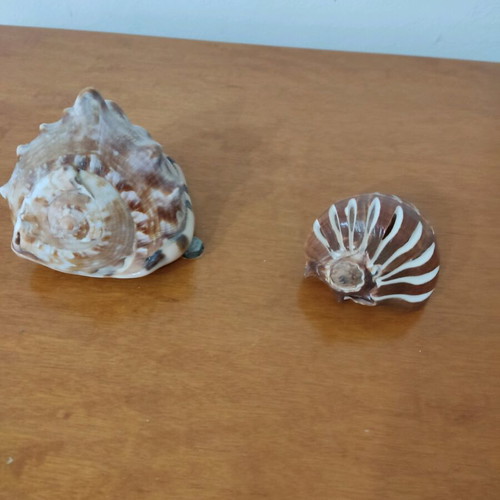 Large helmet shells like new for decoration and collections