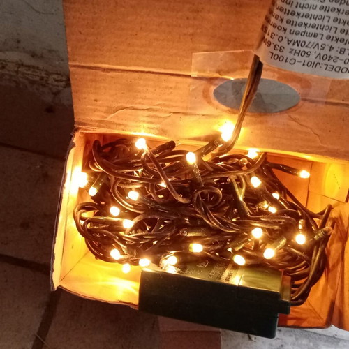 100 white Christmas lights