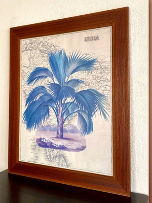 Decorative Tropical Vintage Print with Wooden Frame and India Theme New