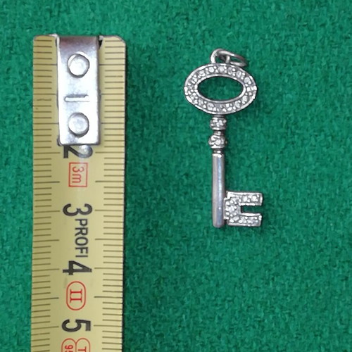 Steel necklace charm key silver color with clear zirconia new