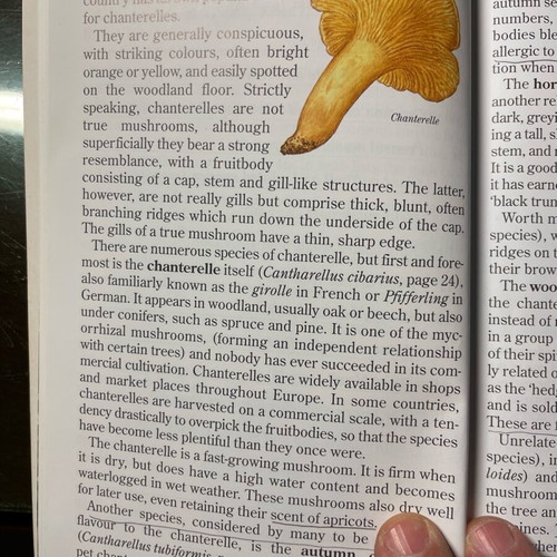 Easy Edible Mushroom Guide like new