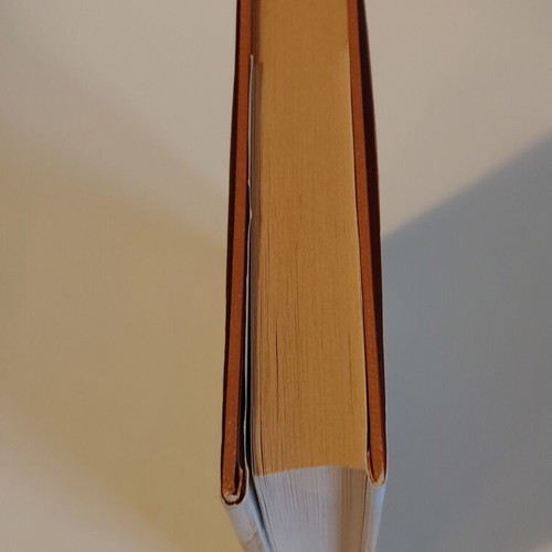 The Menezedenia Politeia book like new by Angelos Terzakis