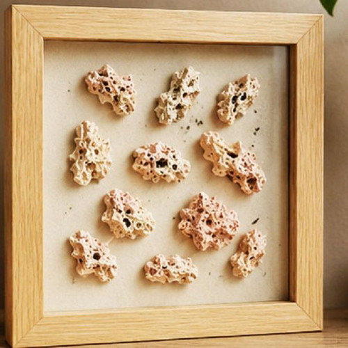Natural Spaghetti Stone Set 15 Pieces New, Limestone for Aquariums