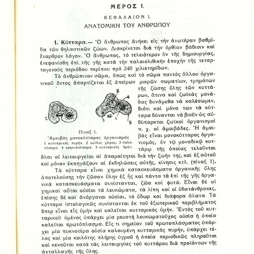 School Hygiene Papastamatis P. 1947 used edition