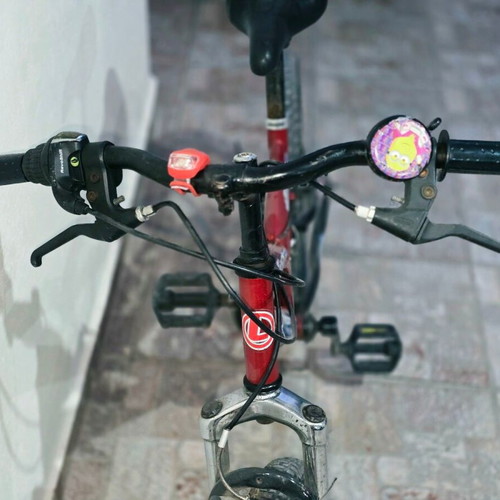 Leader 310 Jett 20" full suspension kids mountain bike