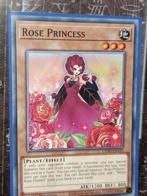 Rose Princess card like new with Ultra Pro protective sleeve