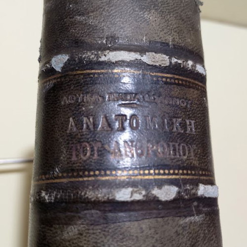 Anatomy of Man by Loukas Papaioannou Volume C used