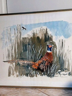 Λιθογραφία του Γ. Βαρλάμου 1979 μεταχειρισμένη με θέμα φασιανό