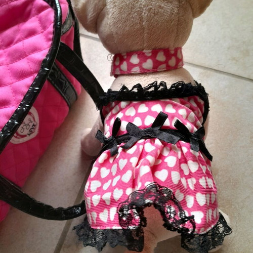 Chi Chi LOVE bag with dog used