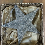 Star ornament new