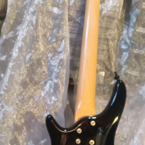 Sound Station SPCL Edition 5-string electric bass guitar