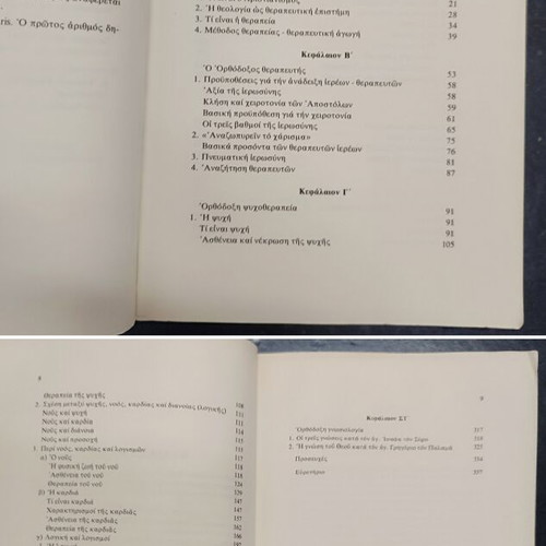 Orthodox Psychotherapy book