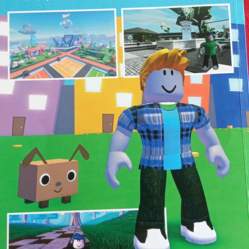 Roblox book complete guide like new, English