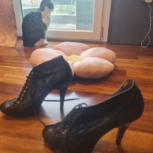 Nine West black lace-up high-heeled ankle boots used, size 40
