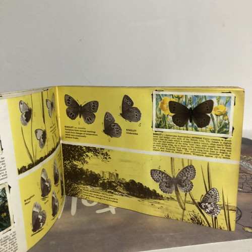 Brooke Bond Album and Cards used, complete British Butterflies set of 50