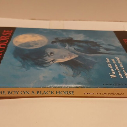 Βιβλίο The Boy on a Black Horse της Nancy Springer 1994