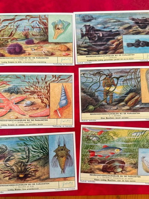 Liebig Complete Set of 6 Chromolithograph Cards on Parasite Degeneration Phenomena 1954