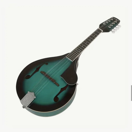 Mandolin new with protective case and extra gift