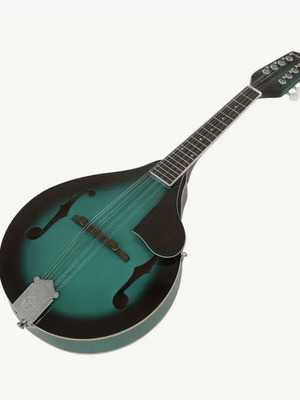 Mandolin new with protective case and extra gift
