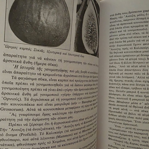 Dendrokomia Dendrotechniki General and Special by Ignatios M. Zacharopoulos
