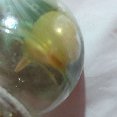 Handmade aquarium ball necklace with pearl and fish