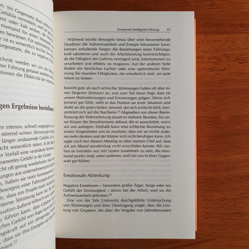 Emotionale Führung by Daniel Goleman like new, German language