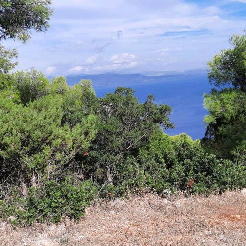 Land 1000 m² in Pefkali Corinthia with view and buildable