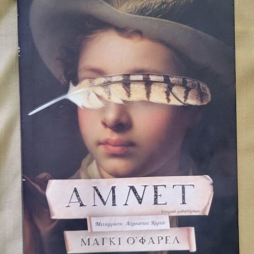 Amnet by Maggie O'Farrell used