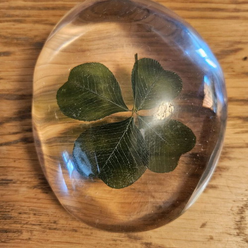 Dried clover in plexiglas like new