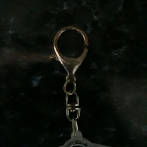Shell keychain used with moving blue rhinestones