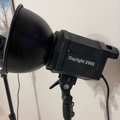 Walimex Pro Daylight 250S Impression L Photography and Video Lighting Set new